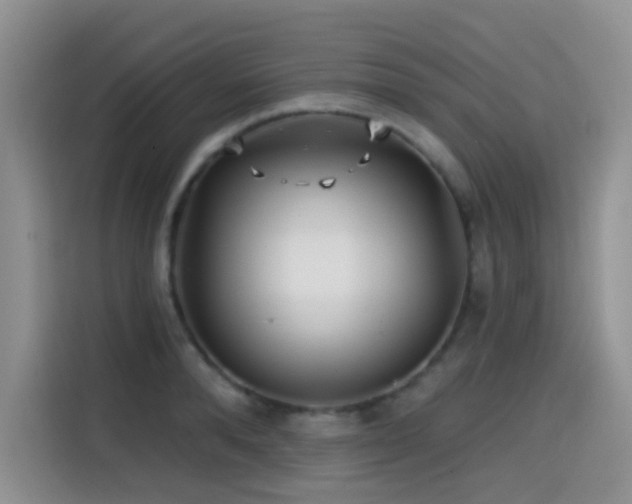 X0000114570896200910191501
