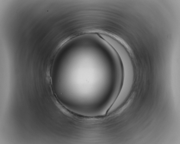 X0000114570897200910191501