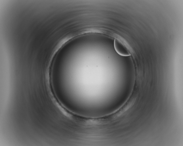 X0000114570898200910191501