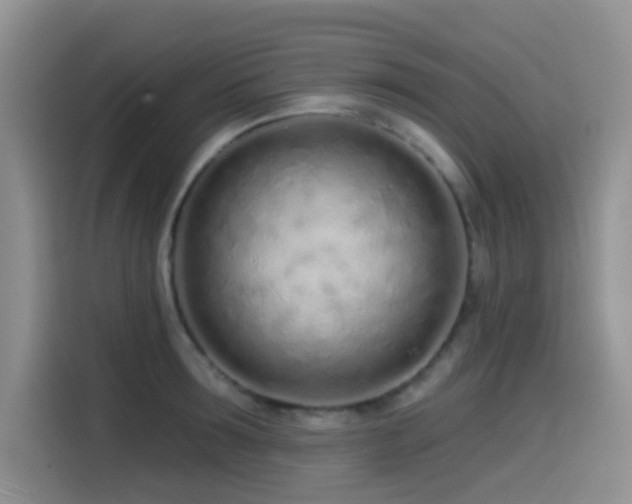 X0000114570899200910191501