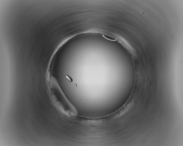 X0000114570900200910191501