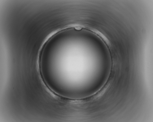 X0000114570902200910191501