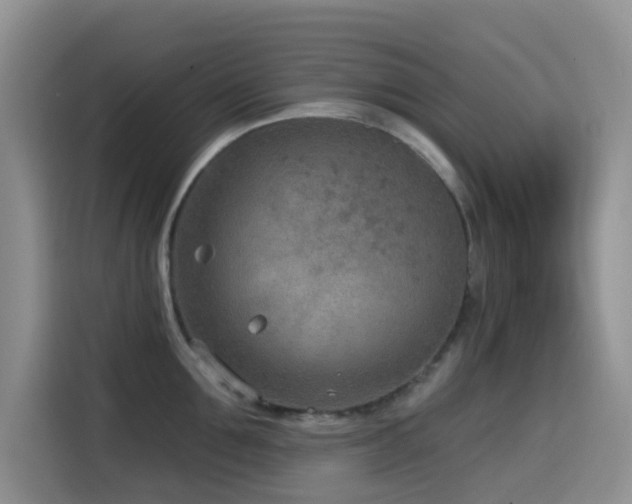 X0000114570907200910191501