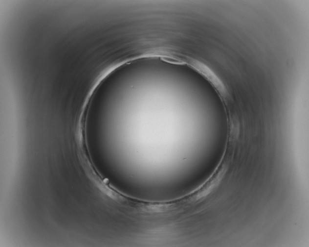 X0000114570908200910191501