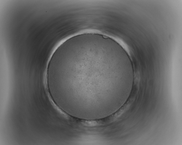 X0000114570911200910191501
