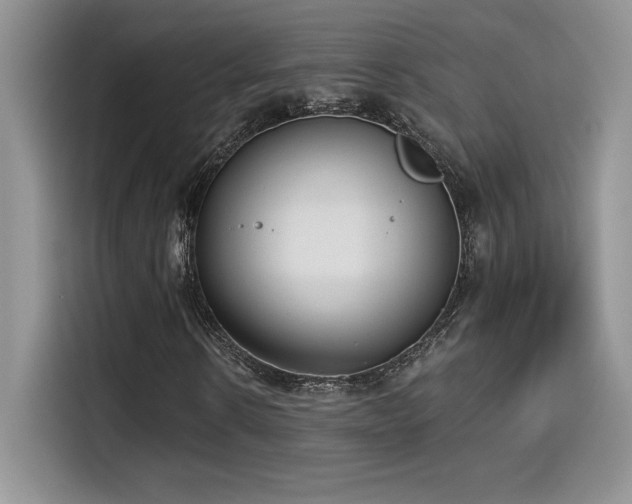 X0000114570914200910191500