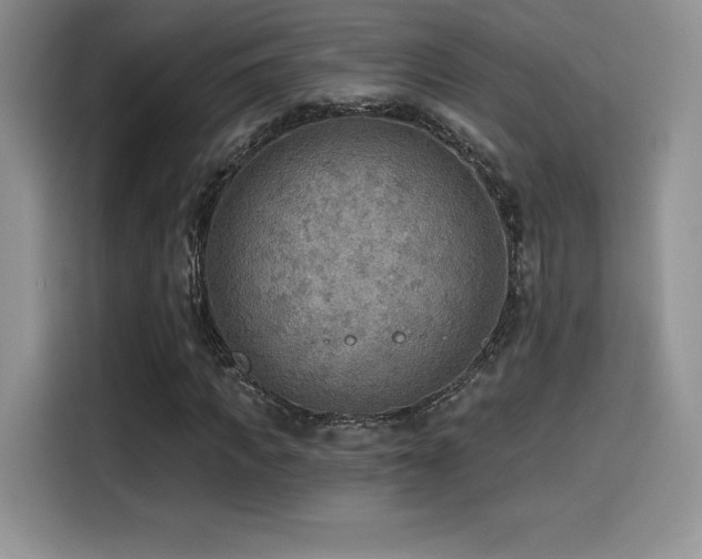 X0000114570917200910191500