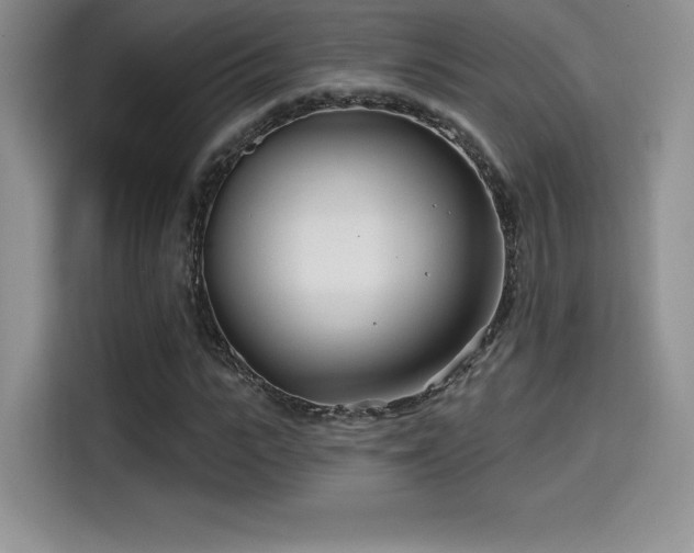 X0000114570919200910191500