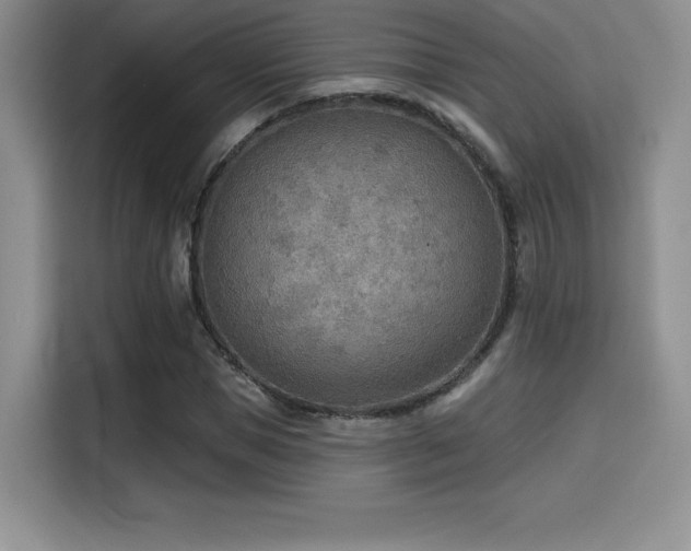 X0000114570921200910191500