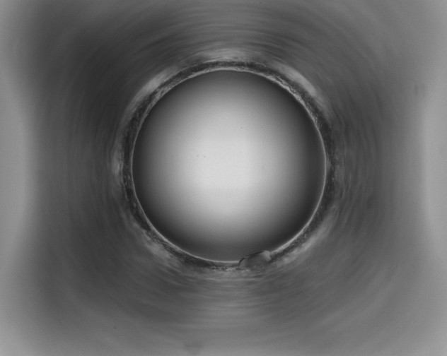 X0000114570922200910191500