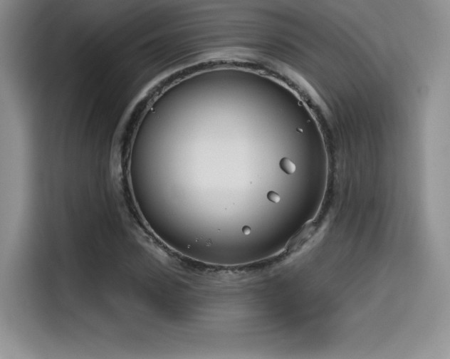 X0000114570923200910191500