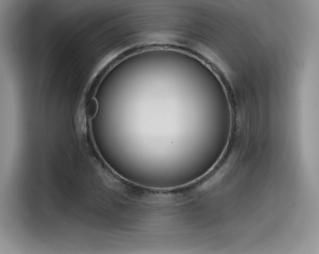 X0000114570925200910191500