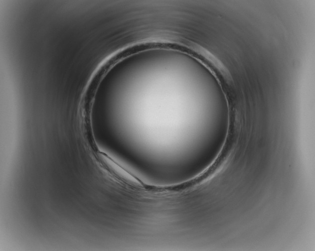 X0000114570926200910191500