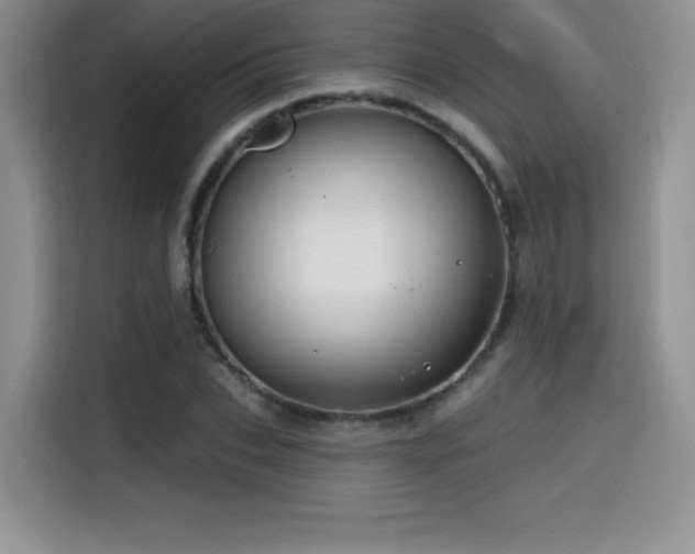 X0000114570927200910191500