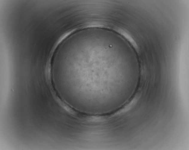 X0000114570933200910191500