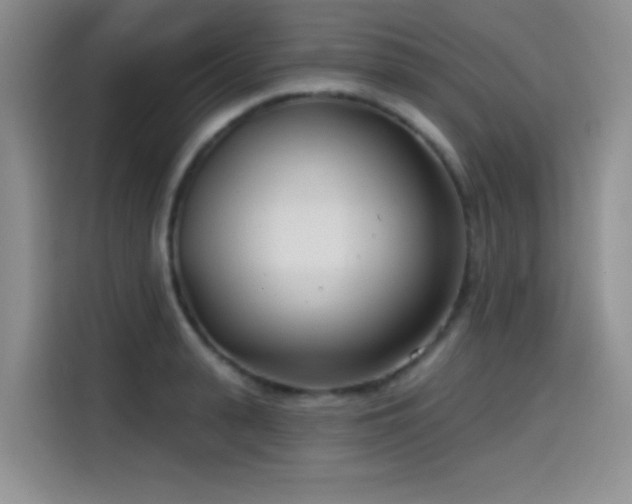 X0000114570943200910191500