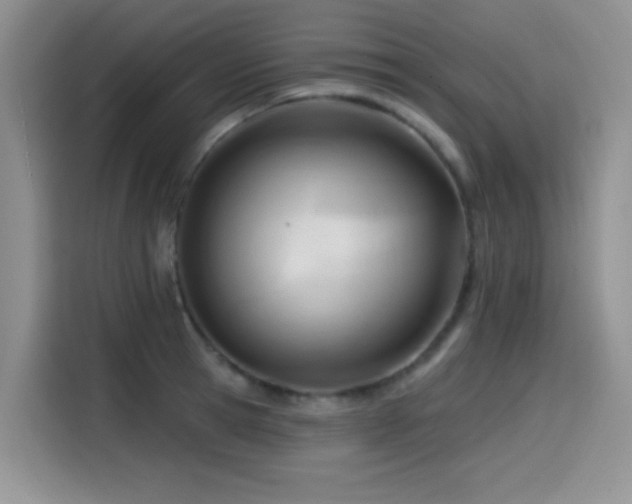 X0000114570945200910191500