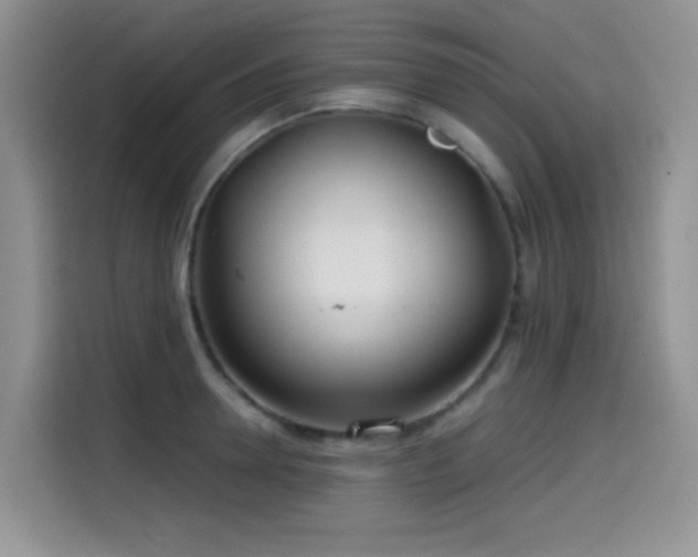 X0000114570946200910191500