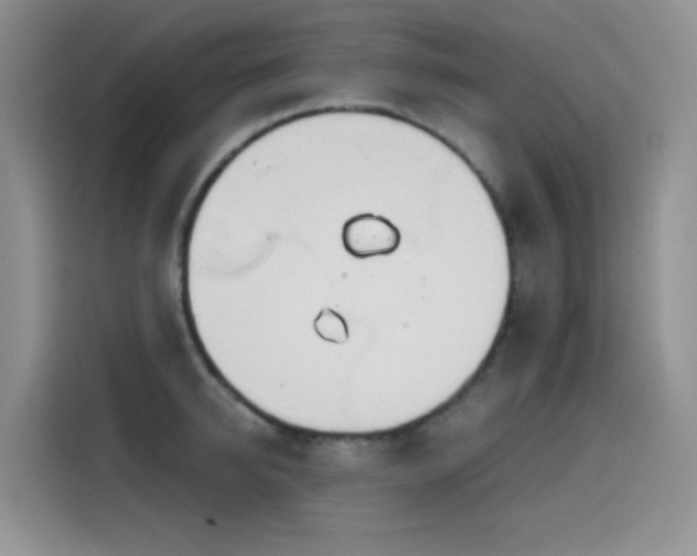 X0000114570950200910191500
