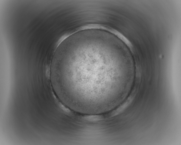 X0000114570953200910191500