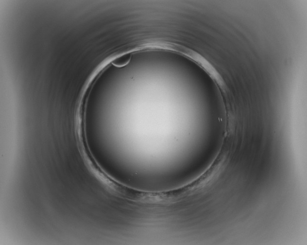 X0000114570955200910191500