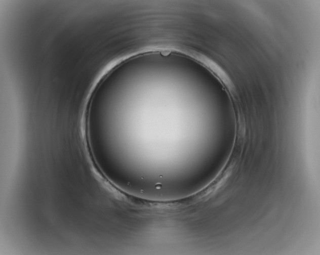 X0000114570958200910191500