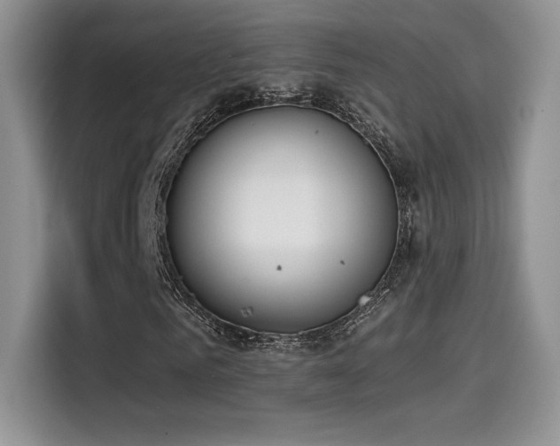 X0000114570961200910191500