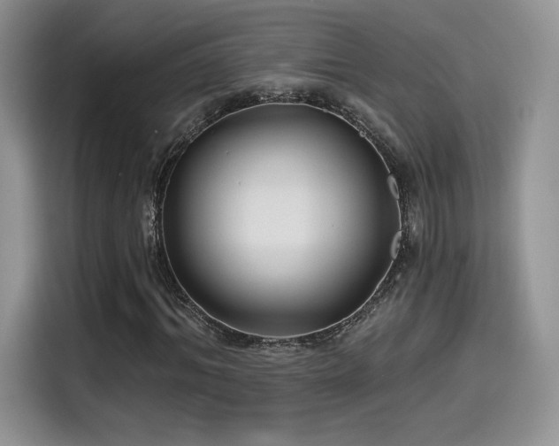 X0000114570964200910191500