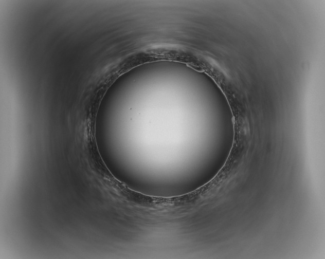 X0000114570965200910191500