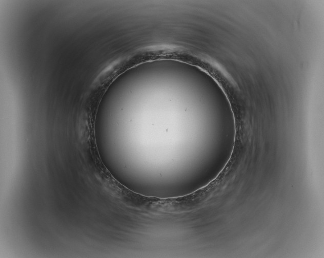 X0000114570967200910191500