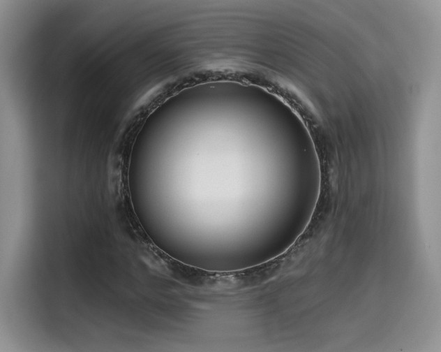 X0000114570968200910191500
