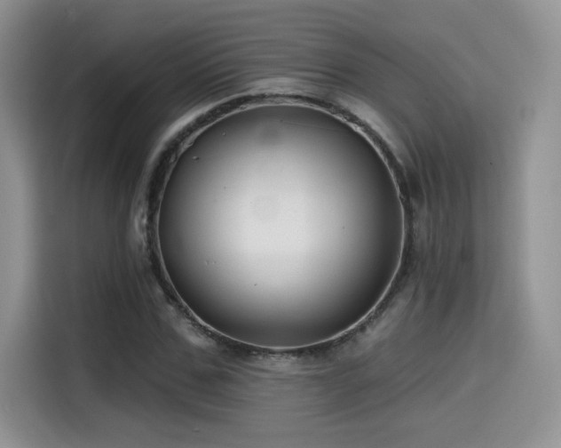 X0000114570971200910191500
