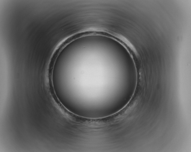 X0000114570972200910191500