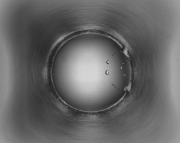 X0000114570975200910191500
