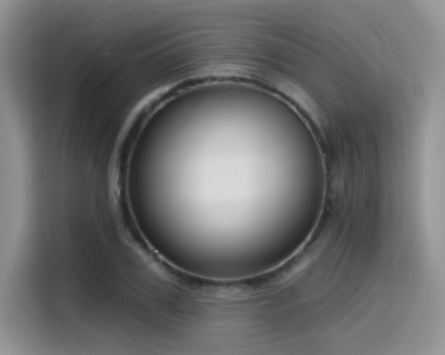 X0000114570979200910191500
