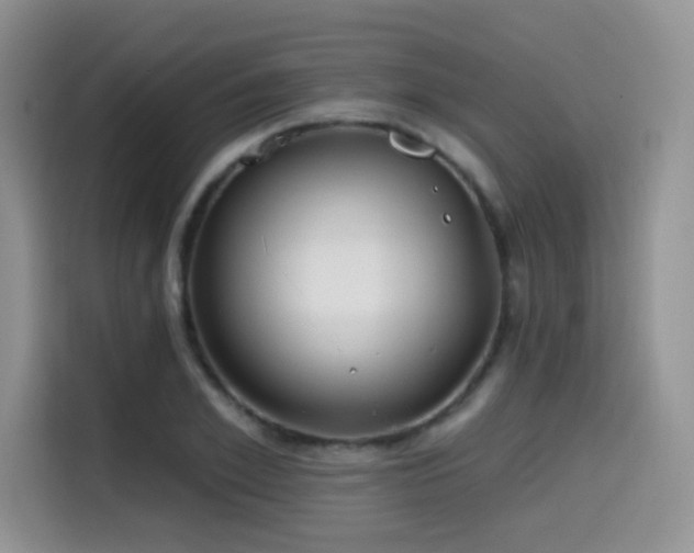 X0000114570981200910191500