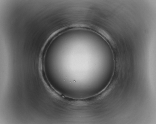 X0000114570984200910191500