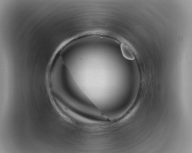 X0000114570989200910191459