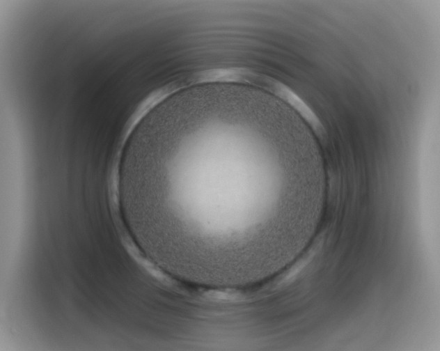 X0000114570994200910191459