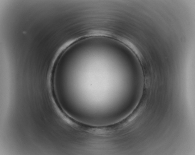 X0000114570995200910191459