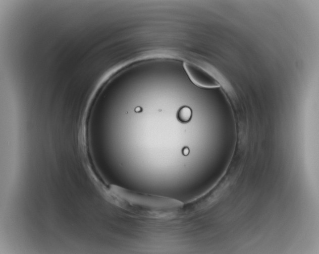 X0000114570996200910191459