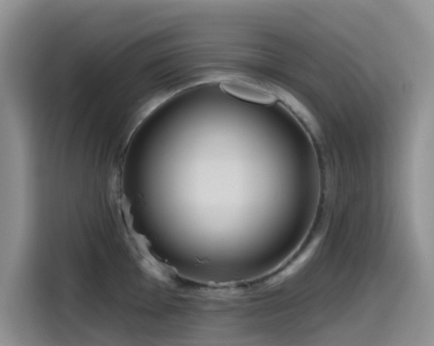 X0000114571001200910191459