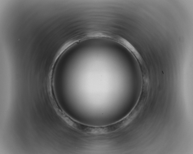 X0000114571002200910191459