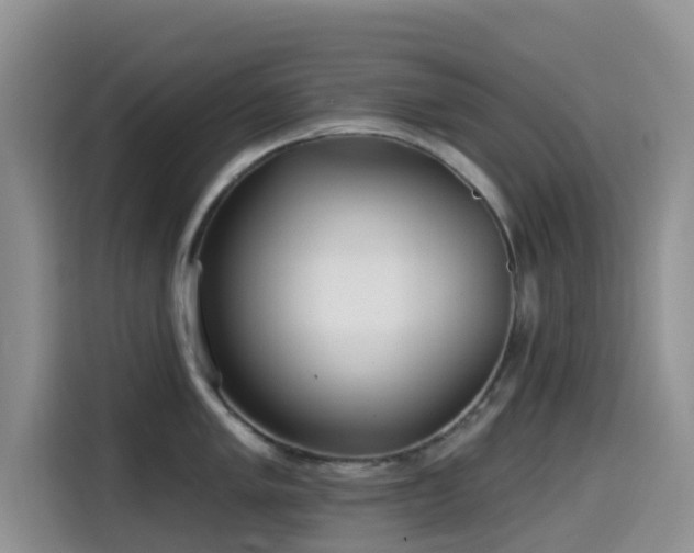 X0000114571005200910191459