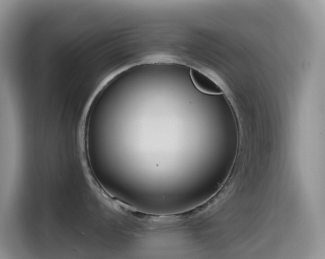 X0000114571008200910191459
