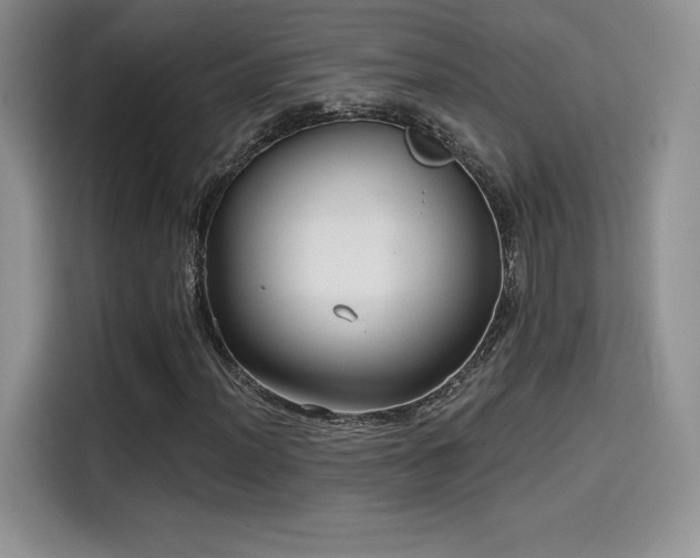 X0000114571012200910191459