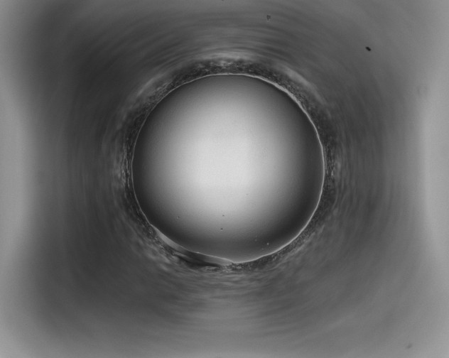 X0000114571014200910191459