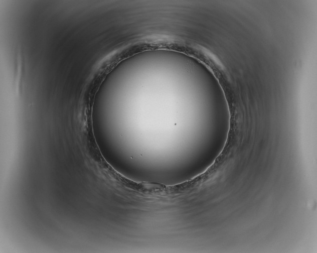 X0000114571016200910191459