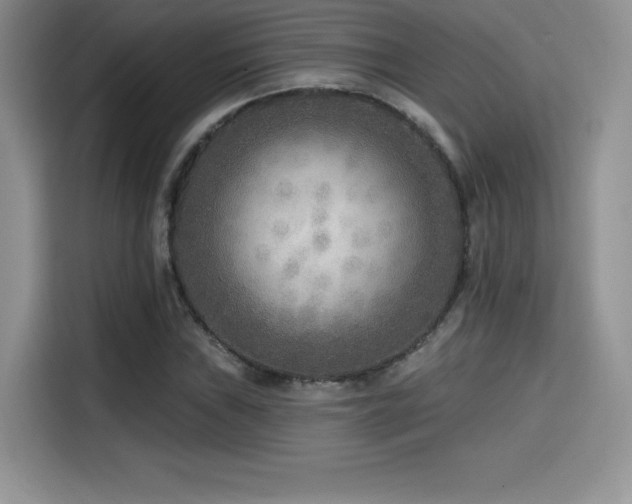 X0000114571019200910191459