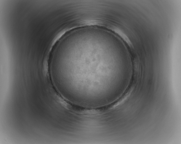 X0000114571023200910191459
